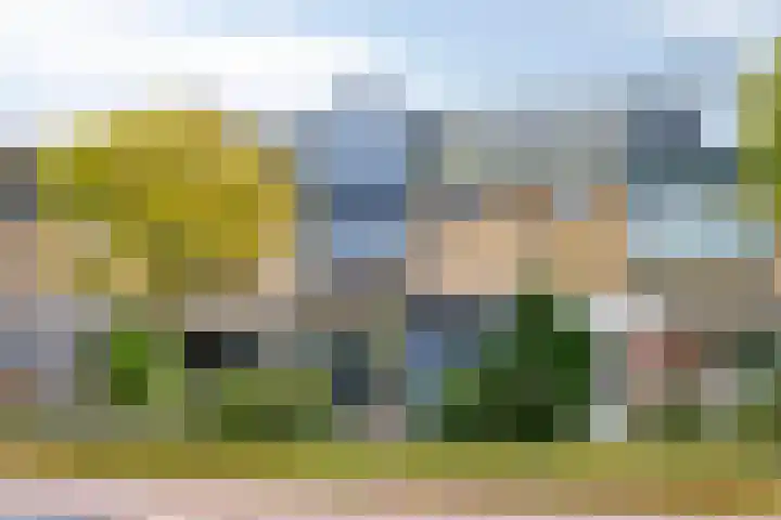 Cieweg 78 Castricum thumbnail 5