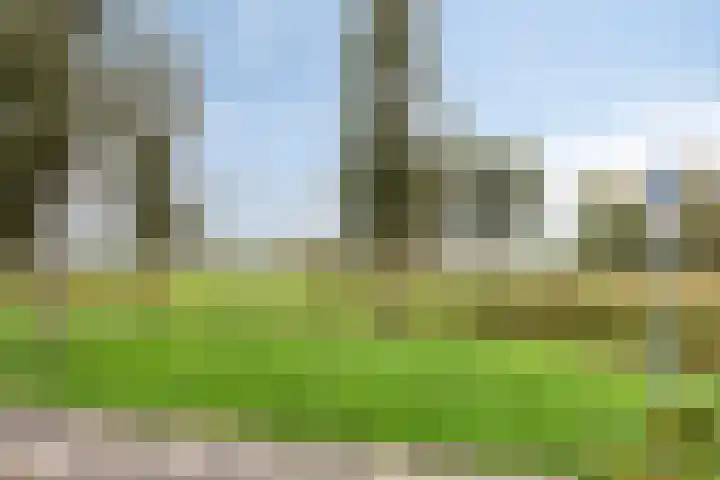 Cieweg 78 Castricum thumbnail 50