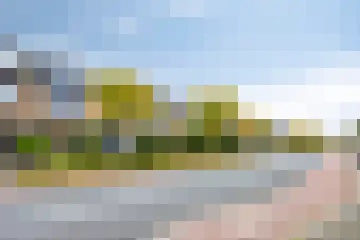 Cieweg 78 Castricum thumbnail 6