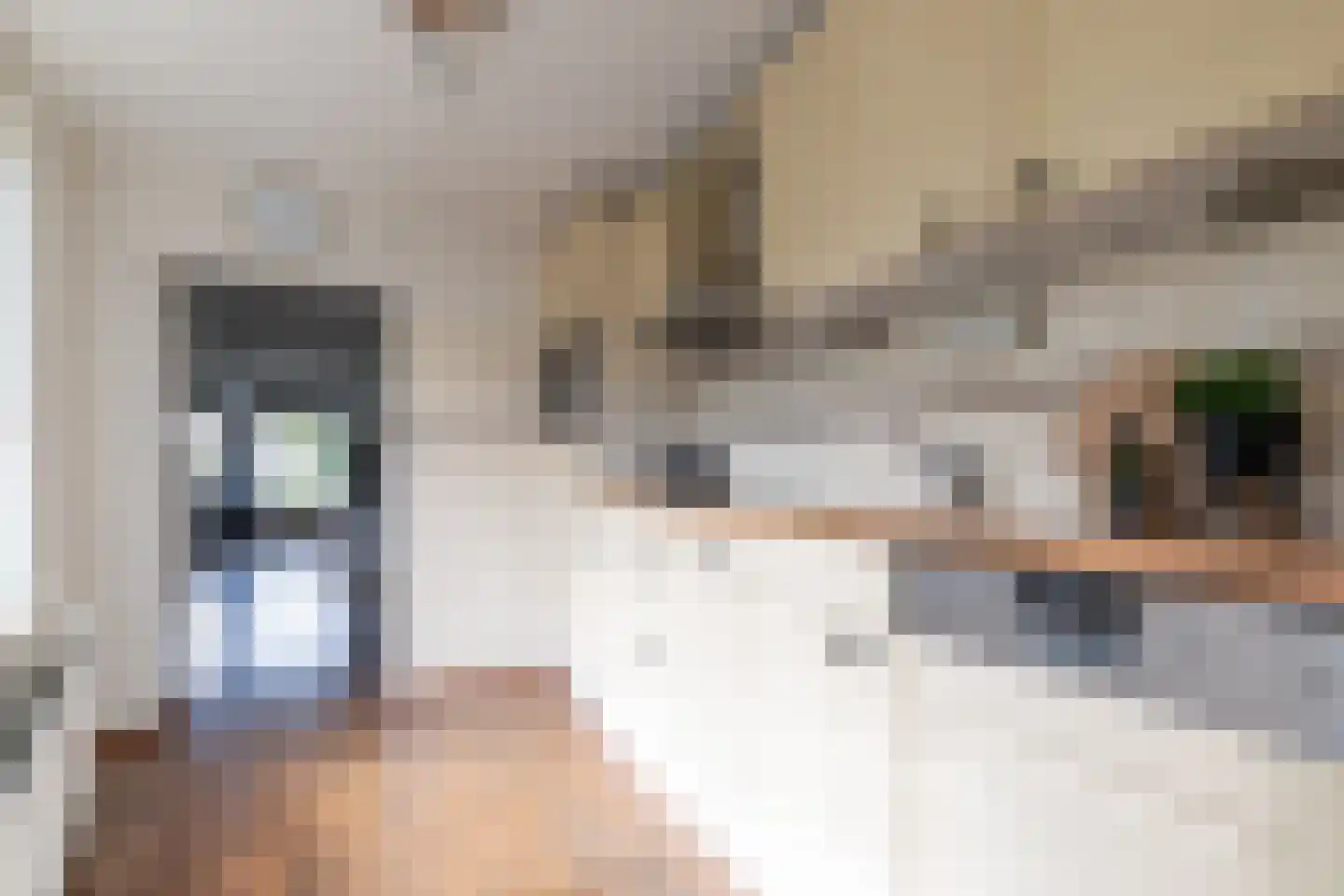 Cijnsbroek 10 Breda thumbnail 23