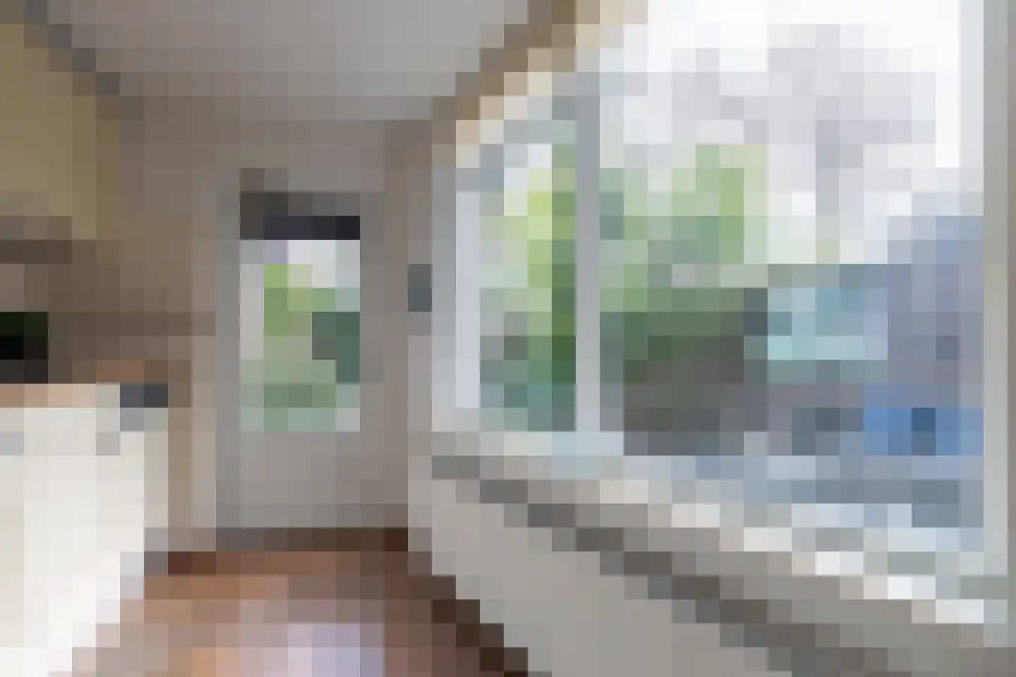 Cijnsbroek 10 Breda thumbnail 25