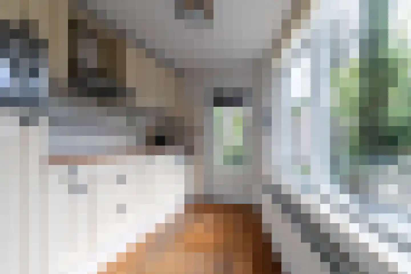 Cijnsbroek 10 Breda thumbnail 27