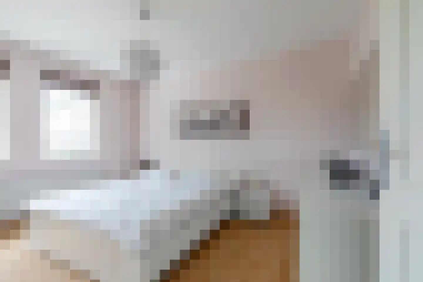Cijnsbroek 10 Breda thumbnail 30