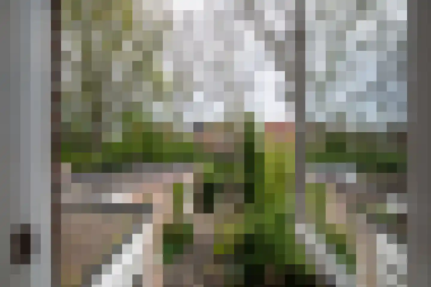 Cijnsbroek 10 Breda thumbnail 38
