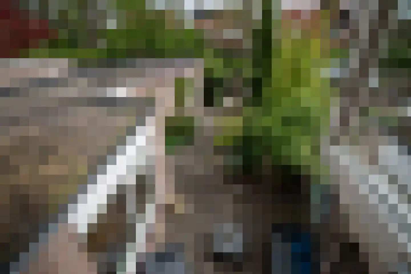 Cijnsbroek 10 Breda thumbnail 39