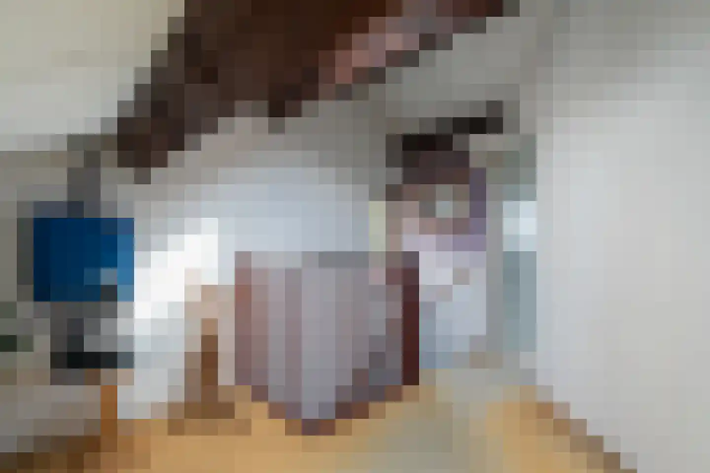 Cijnsbroek 10 Breda thumbnail 40