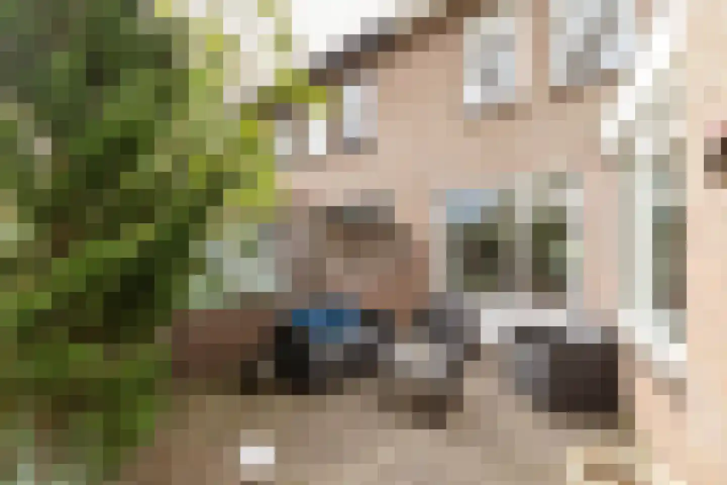 Cijnsbroek 10 Breda thumbnail 49