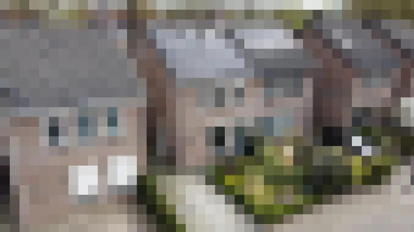 Cijnsbroek 10 Breda thumbnail 5