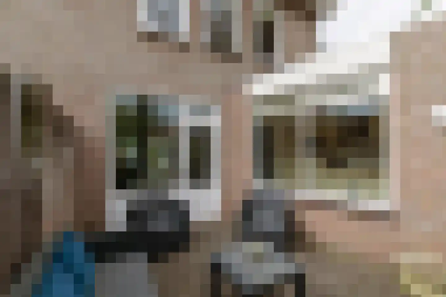 Cijnsbroek 10 Breda thumbnail 50