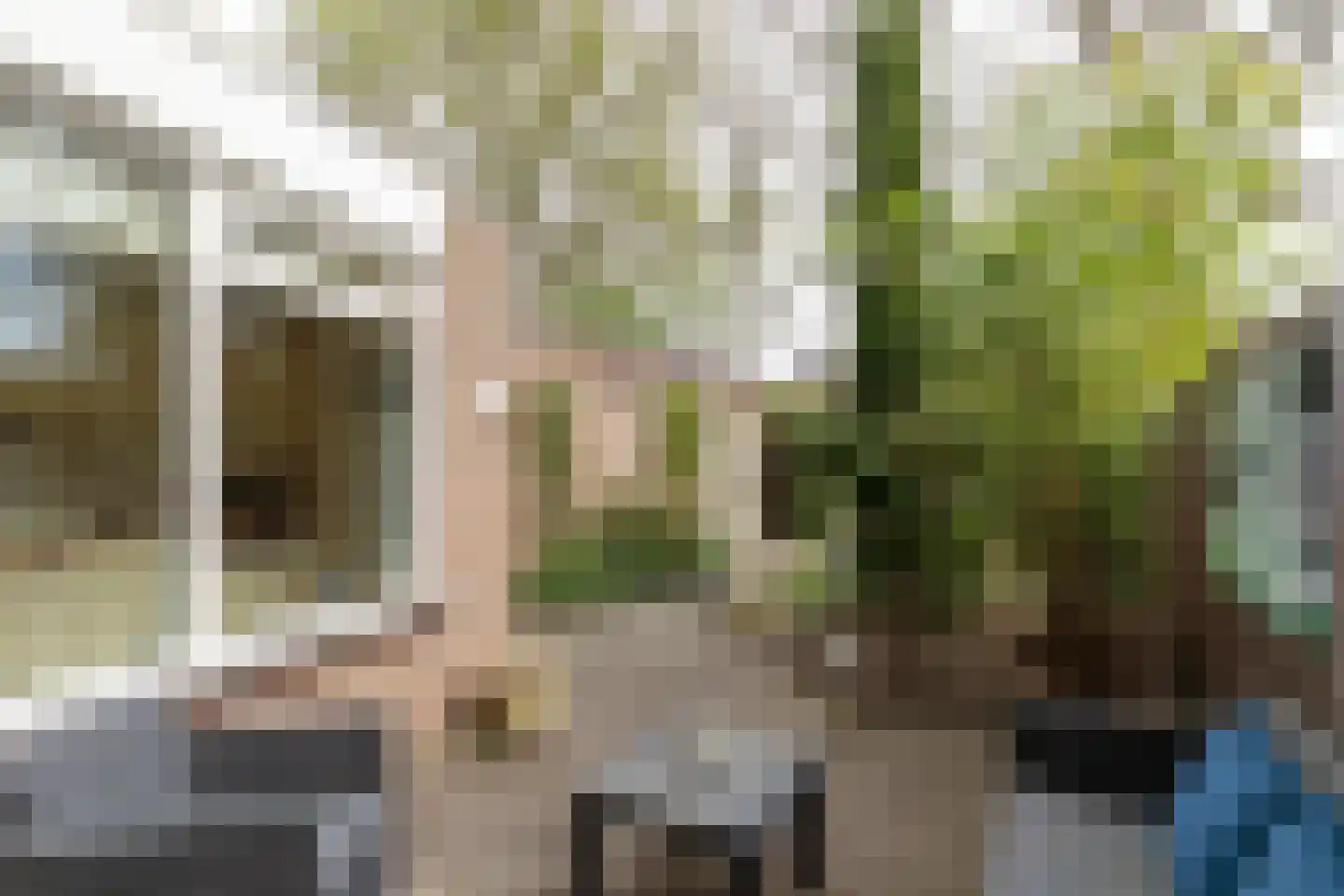 Cijnsbroek 10 Breda thumbnail 51