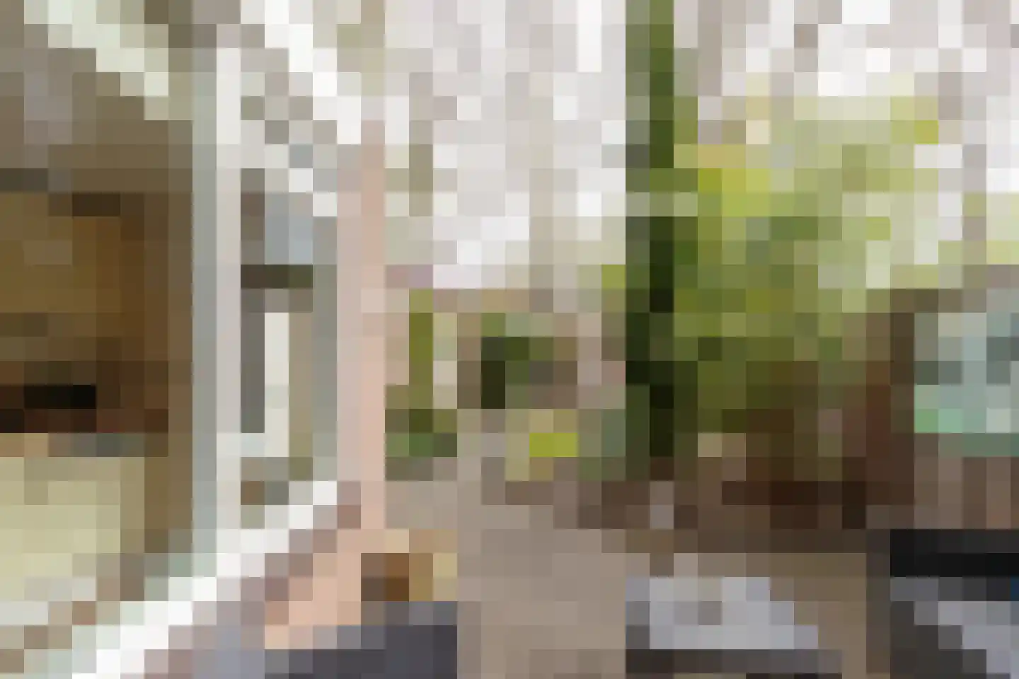 Cijnsbroek 10 Breda thumbnail 52
