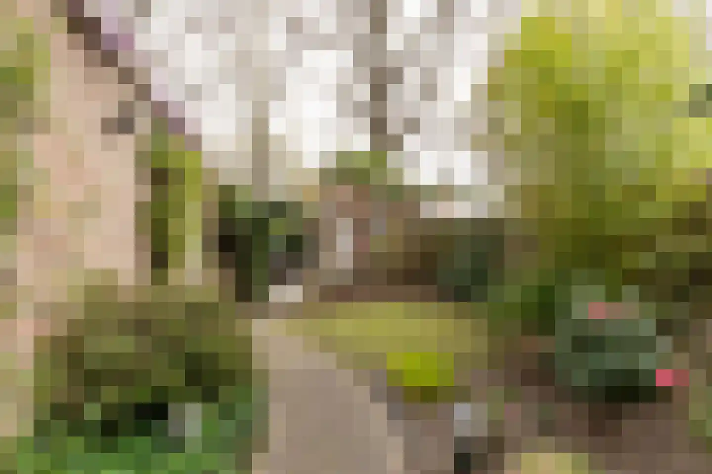 Cijnsbroek 10 Breda thumbnail 53