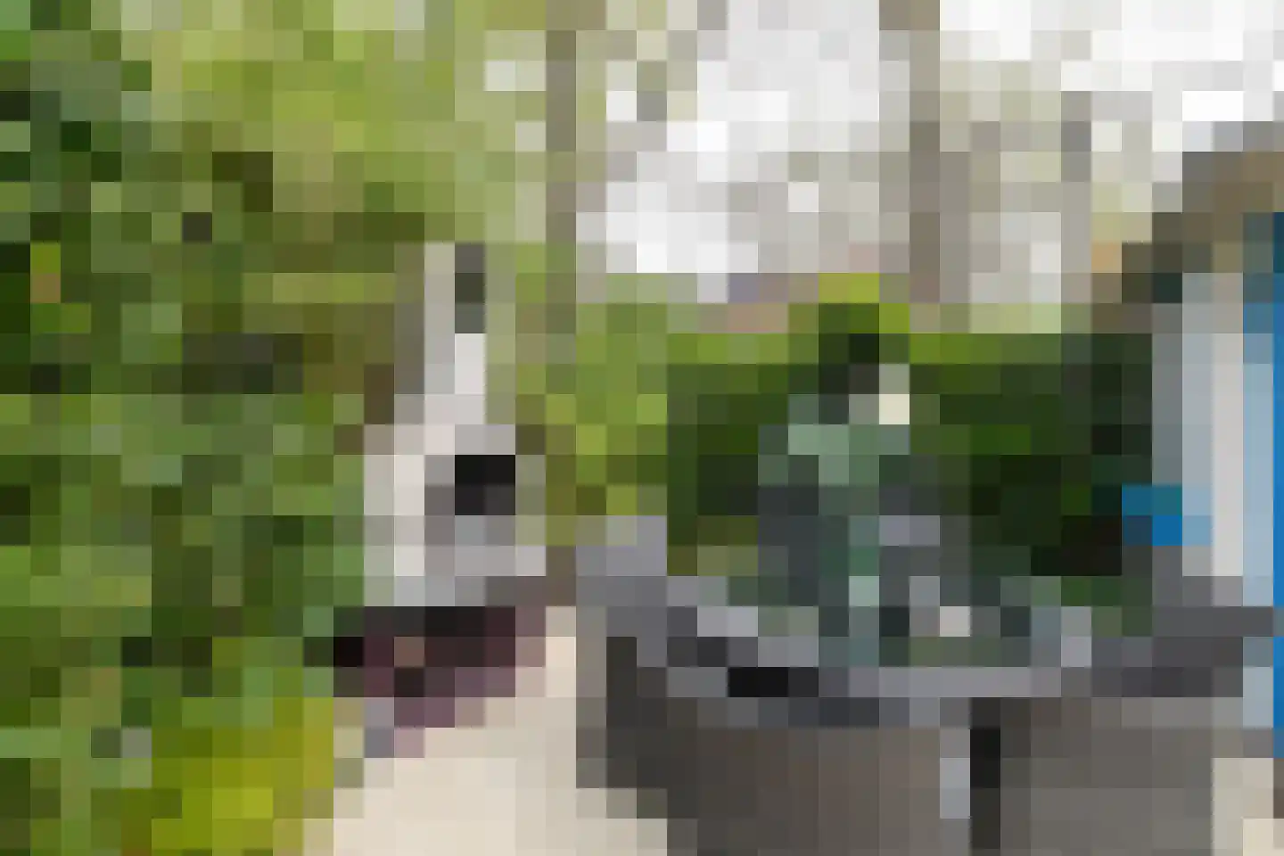 Cijnsbroek 10 Breda thumbnail 55