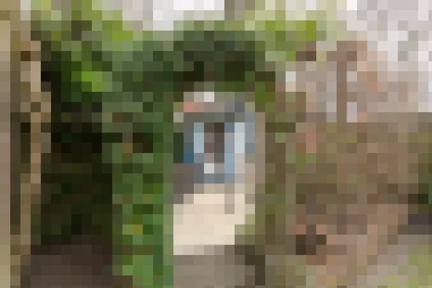 Cijnsbroek 10 Breda thumbnail 57