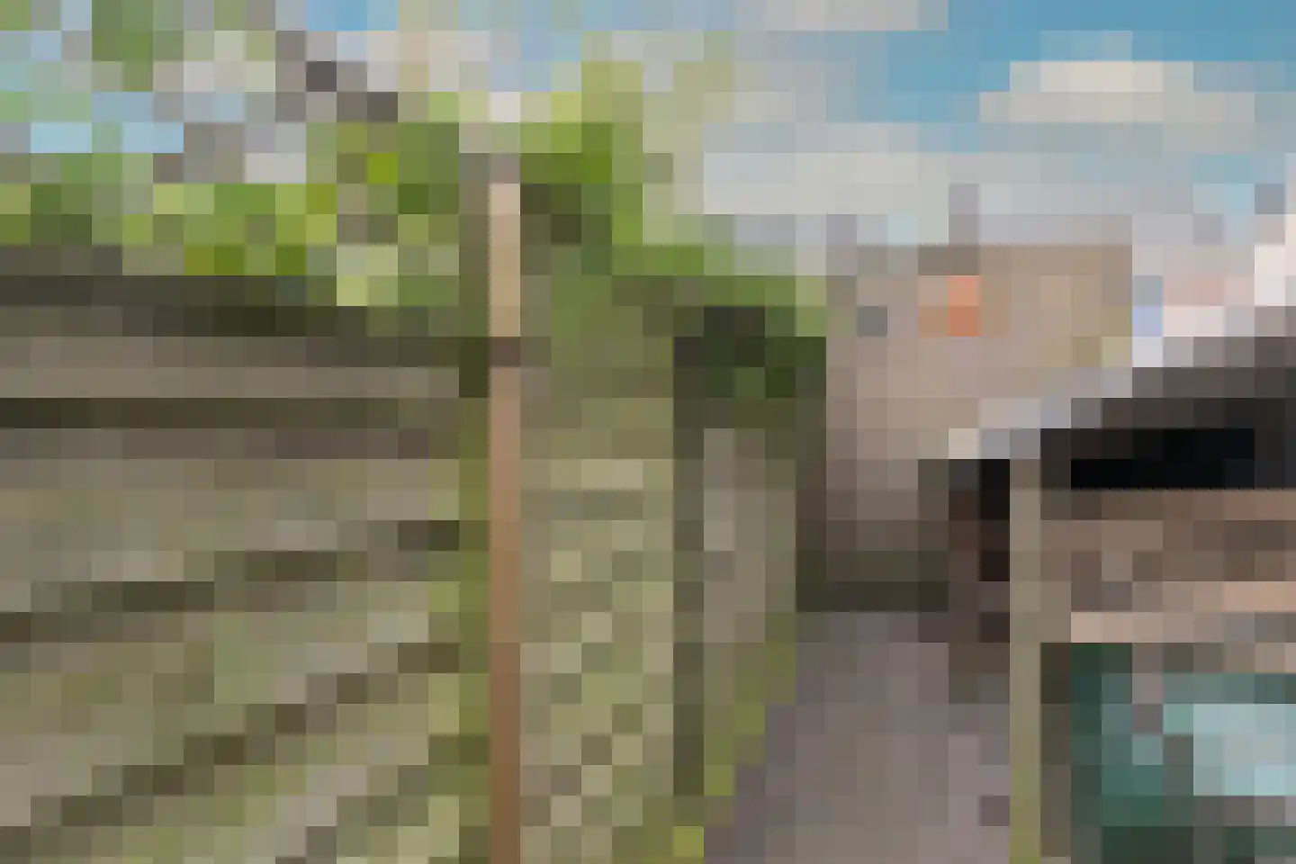 Cijnsbroek 10 Breda thumbnail 58
