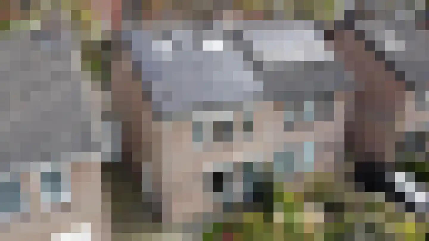 Cijnsbroek 10 Breda thumbnail 63