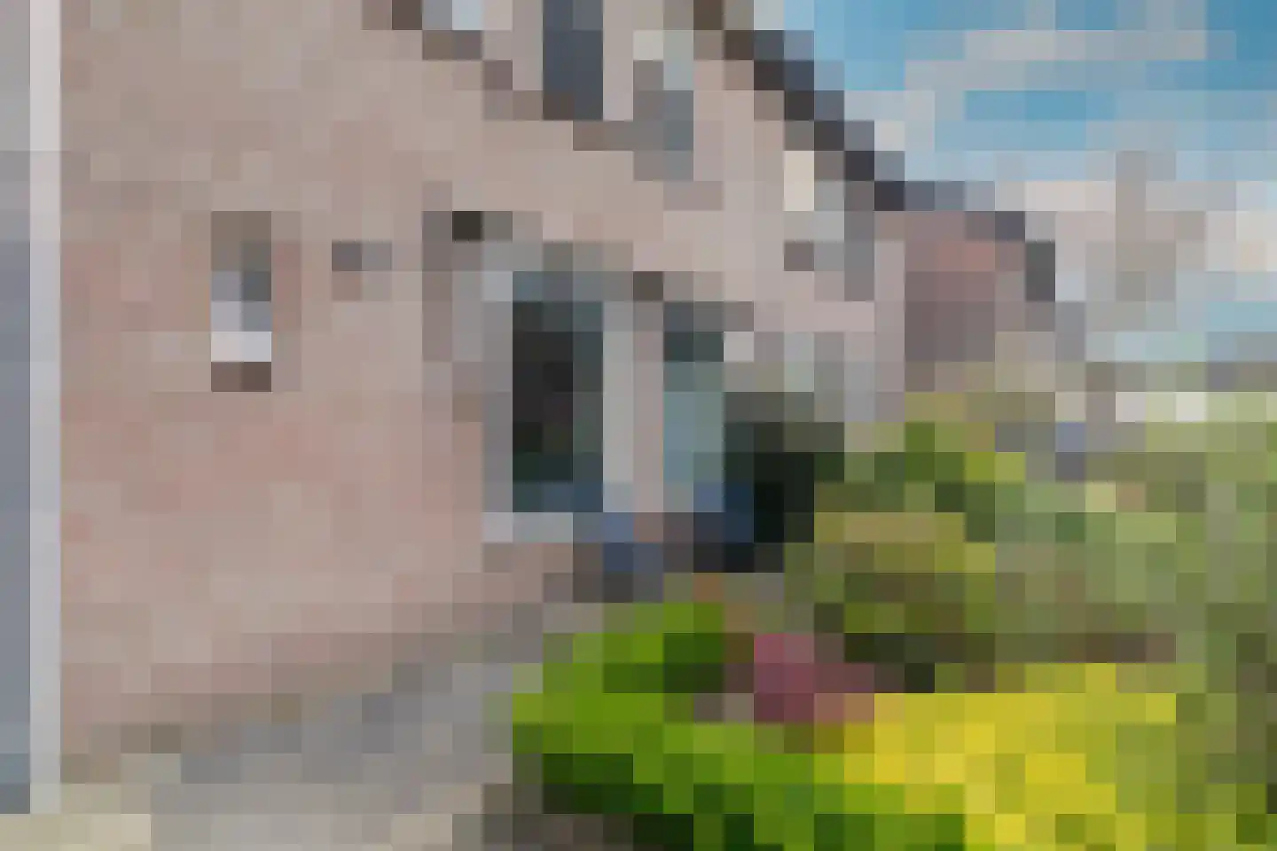 Cijnsbroek 10 Breda thumbnail 9