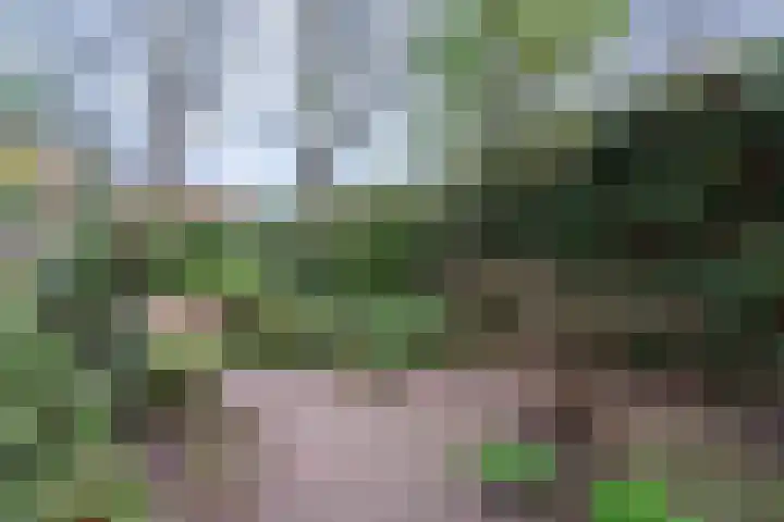Cijnsbroek 16 Breda thumbnail 15