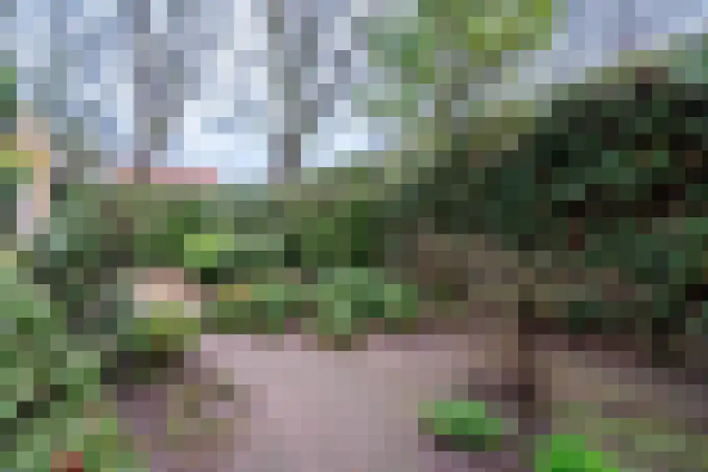 Cijnsbroek 16 Breda thumbnail 15