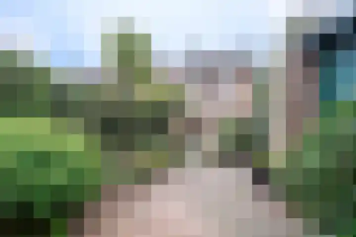 Cijnsbroek 16 Breda thumbnail 16