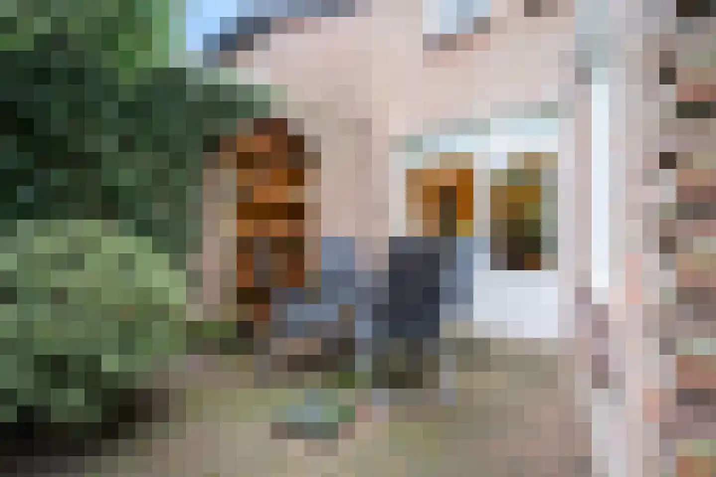 Cijnsbroek 16 Breda thumbnail 17