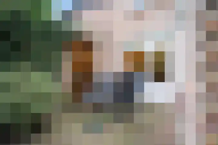 Cijnsbroek 16 Breda thumbnail 17