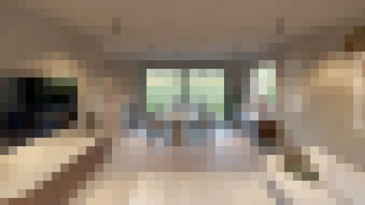 Cijnsruwe 3620 Lanaken Maastricht thumbnail 10