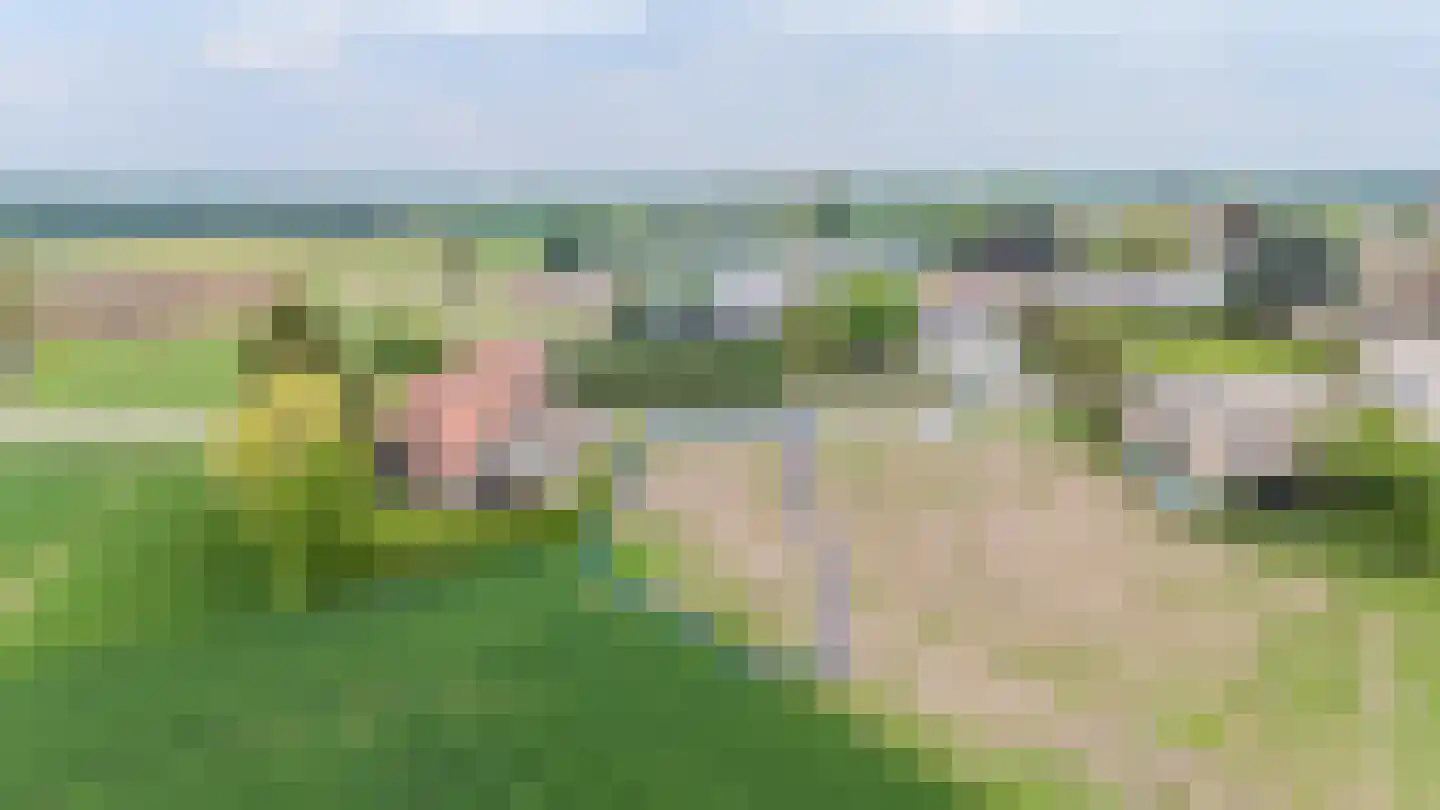 Cijnsruwe 3620 Lanaken Maastricht thumbnail 8