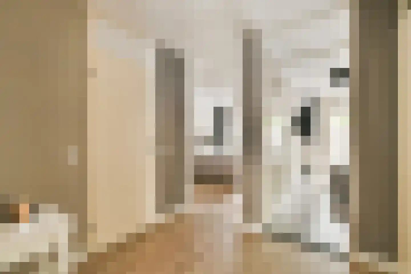 Cilliersstraat 3 Amsterdam thumbnail 11