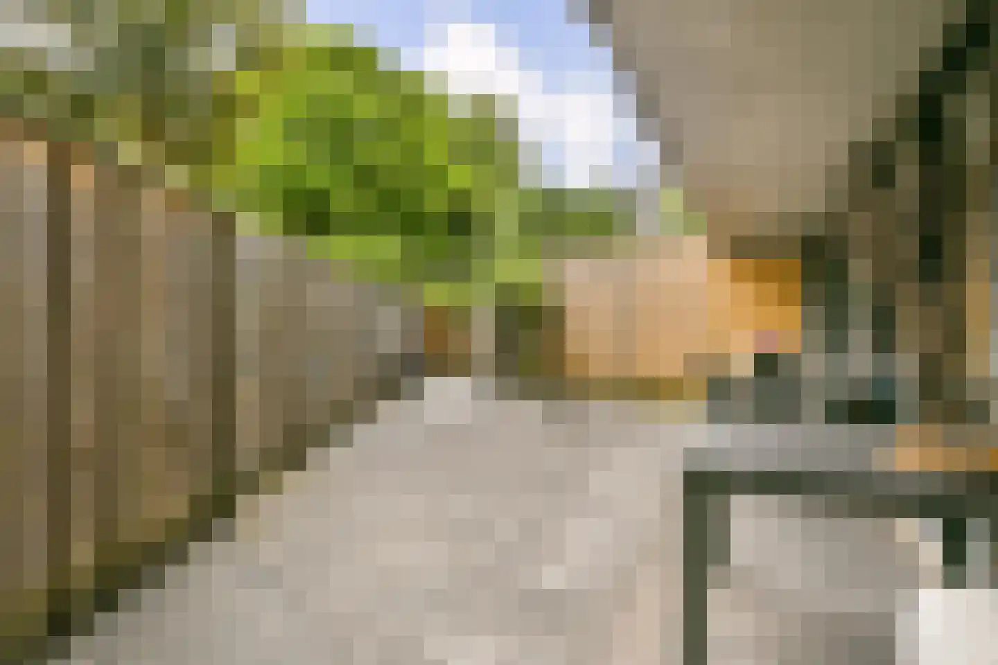 Cilliersstraat 3 Amsterdam thumbnail 6