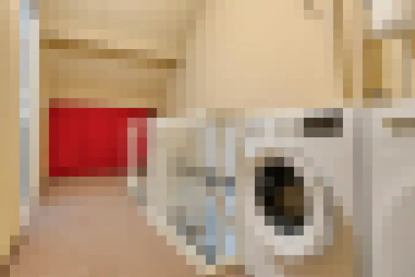 Cimbaal 8 Soest thumbnail 25