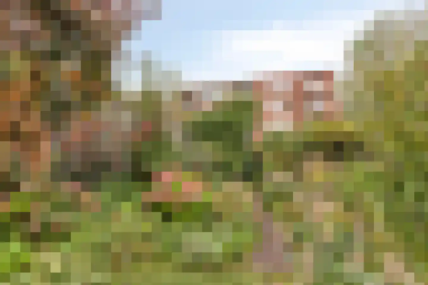 Cimbaal 8 Soest thumbnail 28