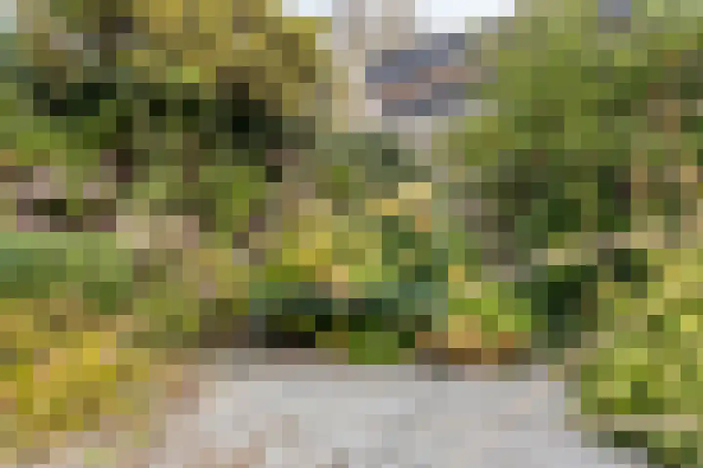 Cimbaal 8 Soest thumbnail 29