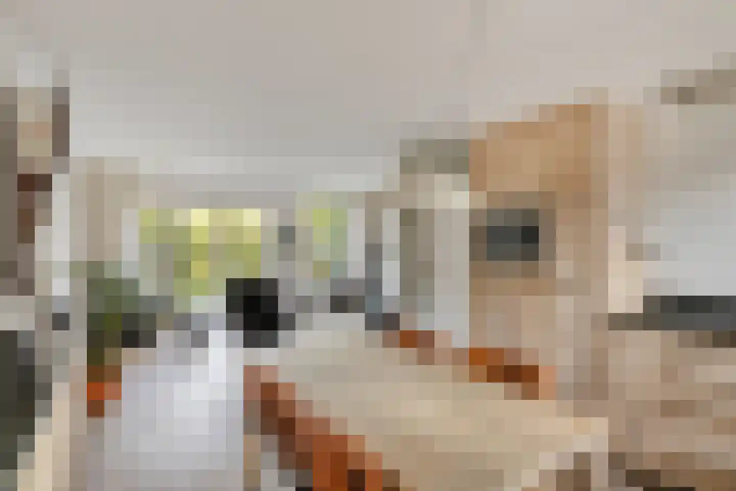 Cimbaal 8 Soest thumbnail 6