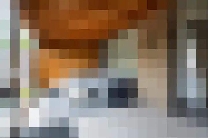 Cimbaalhof 10 Etten-Leur thumbnail 12