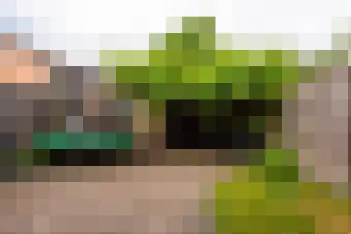 Cimbaalhof 10 Etten-Leur thumbnail 27