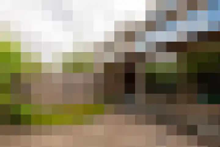 Cimbaalhof 10 Etten-Leur thumbnail 28
