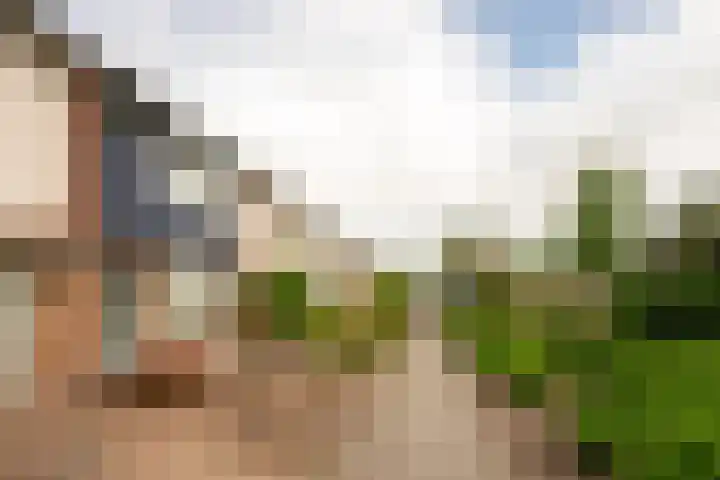 Cimbaalhof 10 Etten-Leur thumbnail 31