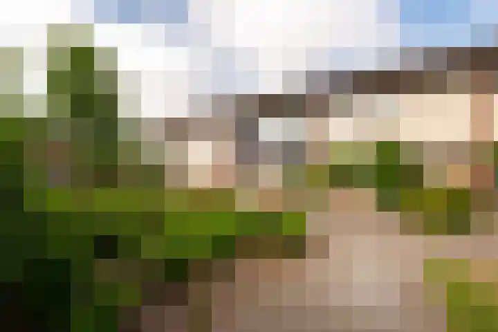 Cimbaalhof 10 Etten-Leur thumbnail 33