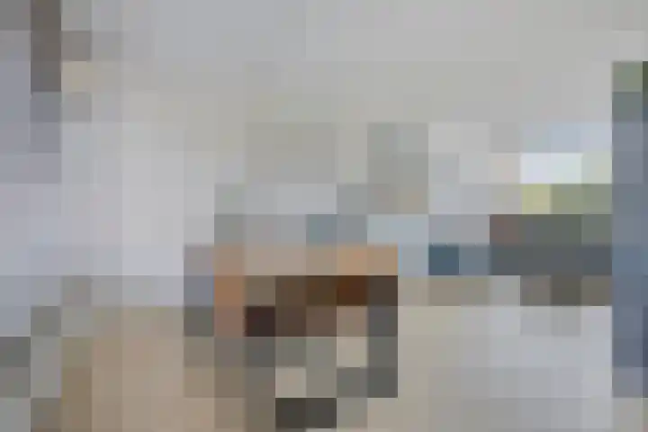 Cimbaalhof 133 Etten-Leur thumbnail 12