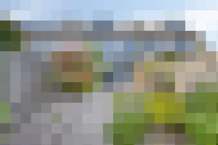 Cimbaalhof 133 Etten-Leur thumbnail 24