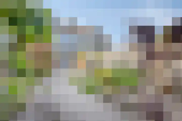 Cimbaalhof 133 Etten-Leur thumbnail 25
