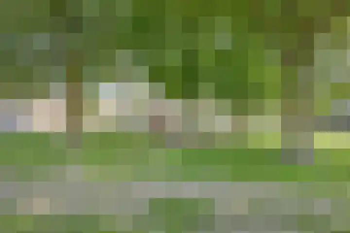 Cimbaalhof 133 Etten-Leur thumbnail 30