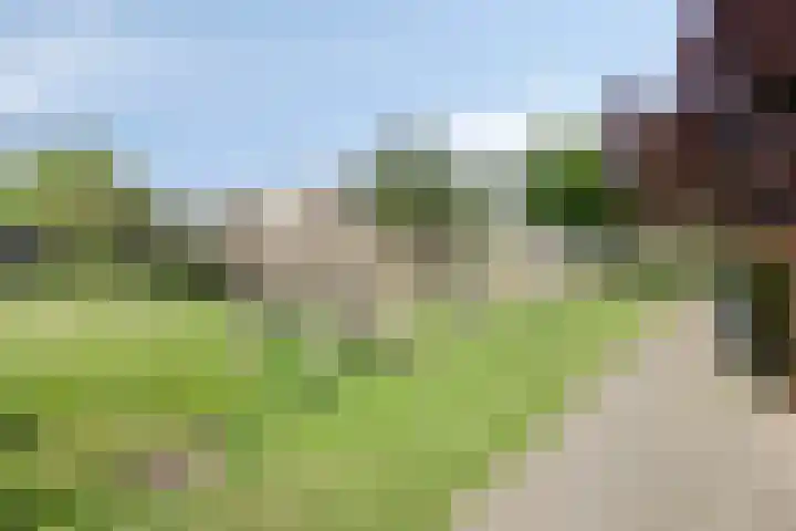 Cimbaalhof 133 Etten-Leur thumbnail 31
