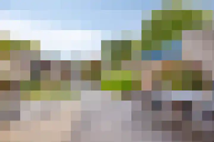 Cimbaalhof 133 Etten-Leur thumbnail 4