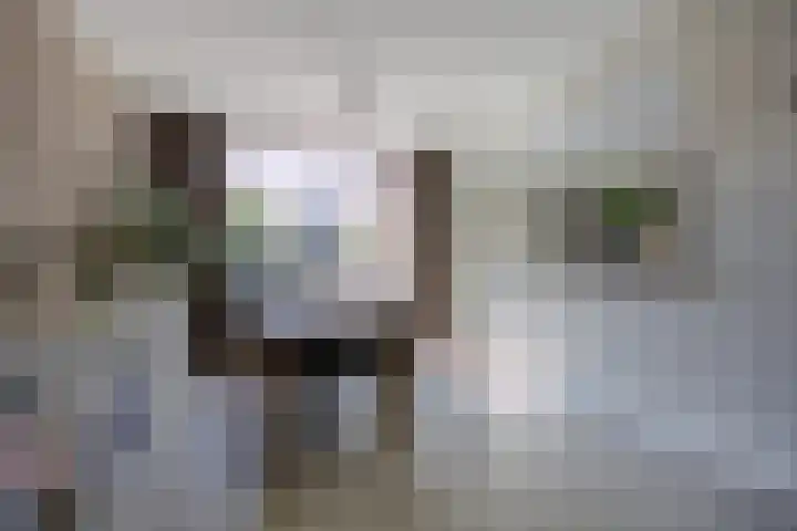 Cimbaalhof 22 Etten-Leur thumbnail 11