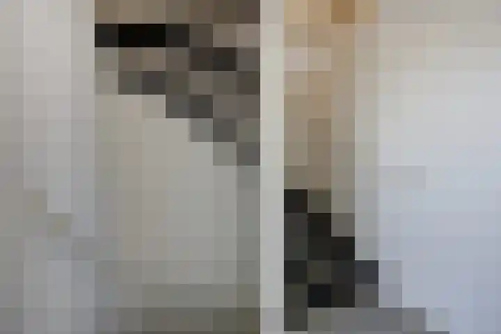Cimbaalhof 22 Etten-Leur thumbnail 18