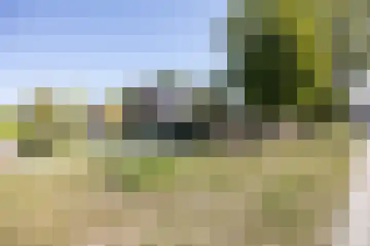 Cimbaalhof 22 Etten-Leur thumbnail 39