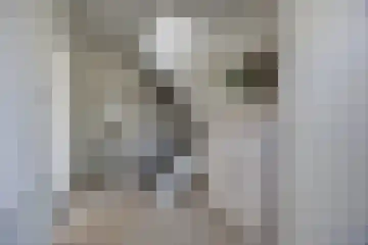 Cimbaalhof 22 Etten-Leur thumbnail 6