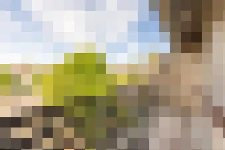 Cimbaalhof 38 Etten-Leur thumbnail 17